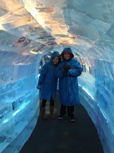 Ice display at the Gaylord Hotel, amazing.