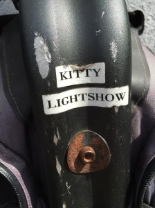 The same Segway both my boys rode