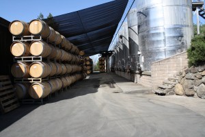 Alexander Valley Vineyard