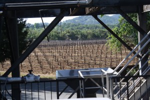 Alexander Valley Vineyards