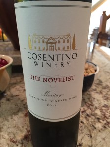 cosentino the novelist