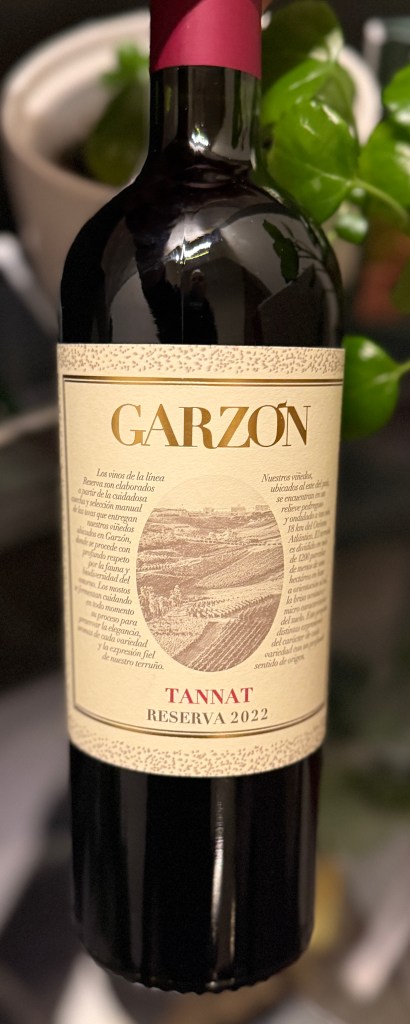 Bodega Garzon Reserva Tannat